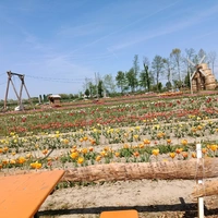 Abe8855
