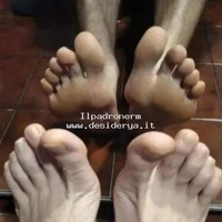 Ilpadronerm
