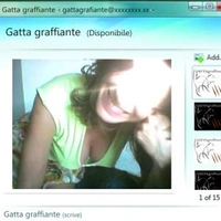 Gattagraffiante
