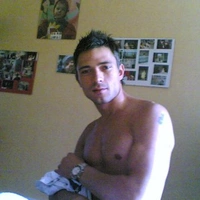 stecco81
