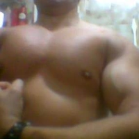 paloaltox