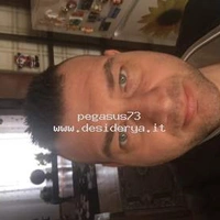 pegasus73219962