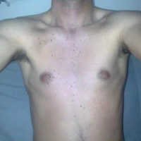 pinguino71