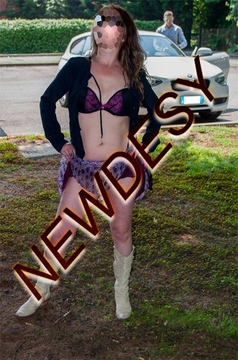 newdesy