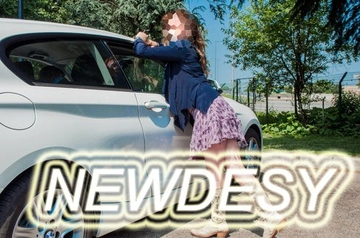 newdesy
