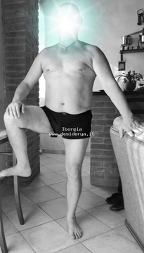 Iborgia