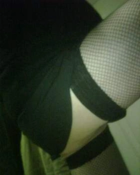 vacca339509