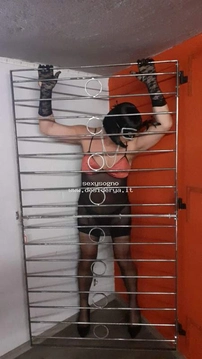 sexysogno