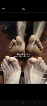 Ilpadronerm