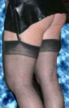 silycoppia