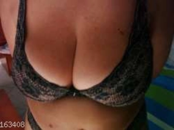 silycoppia