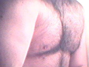 astichegioca