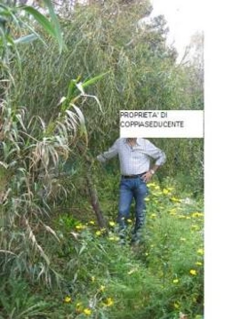 coppiaseducente