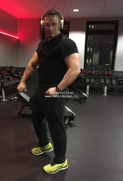 Calmstallion