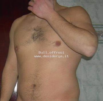 Bull3offresi