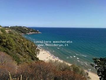 cavaliere1mascherato