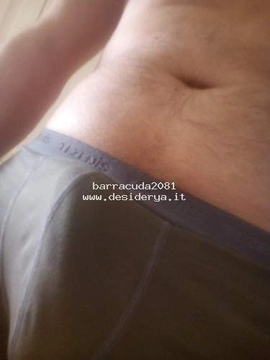 barracuda2081